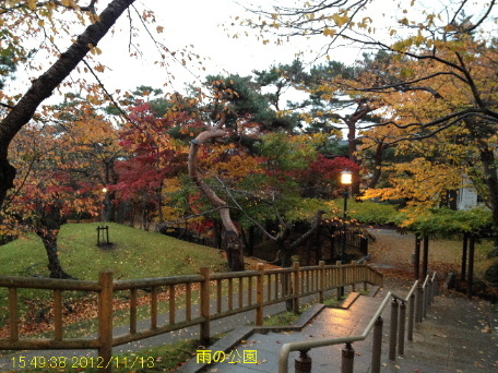 時雨の函館公園。