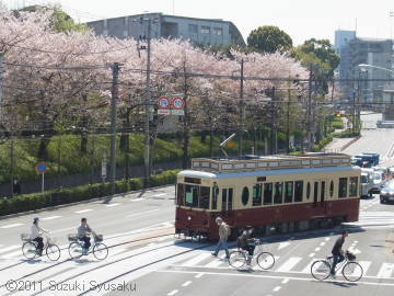 宮の森日記【出張編】●4/14（木）東京の桜