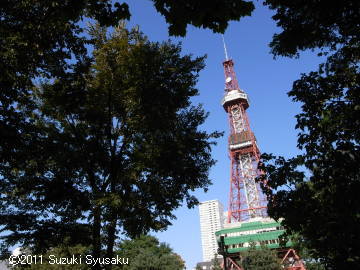 宮の森日記●好天