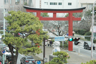 源平池の鷺