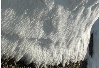残雪の皺