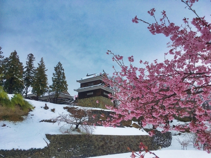 雪中桜と上田城