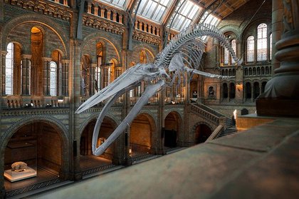 ロンドン国立歴史博物館 ロンドン国立歴史博物館