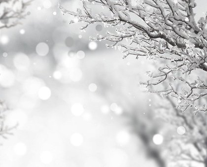 雪 雪