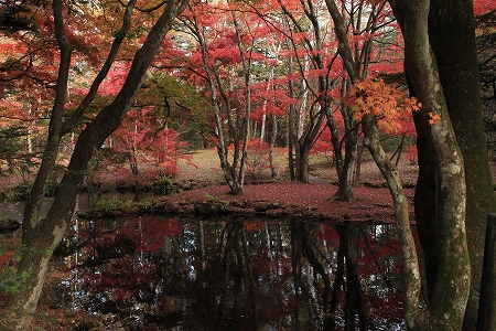 軽井沢の秋