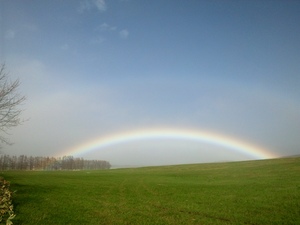 素敵な摩周草原にかかる虹