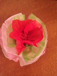 お花o(^▽^)o